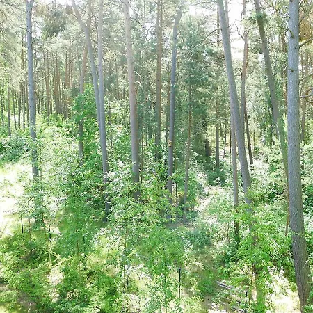 Lägenhet Dwupoziomowy - *