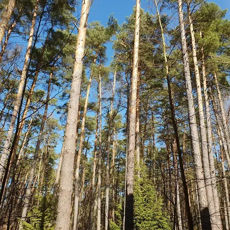 Lägenhet Dwupoziomowy - *