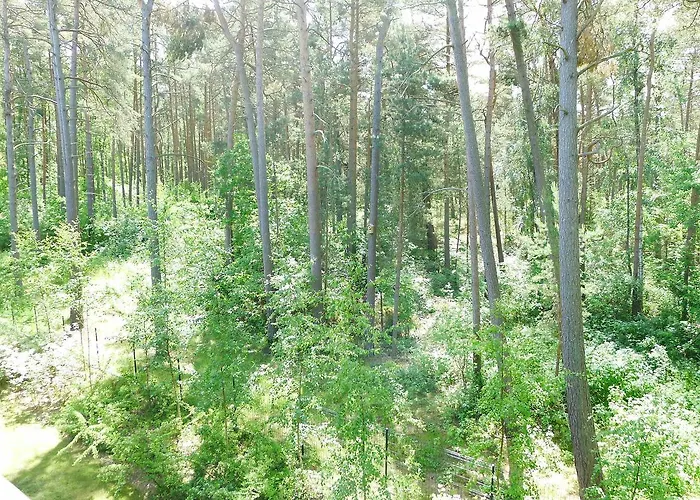 Apartmán Dwupoziomowy - *