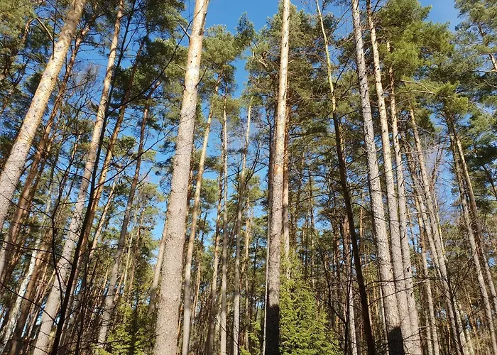 Apartmán Dwupoziomowy - *